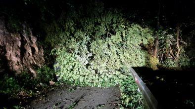 Veter podiral drevesa in odkrival strehe 3